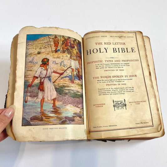 The History of Illustrated Vintage Bibles