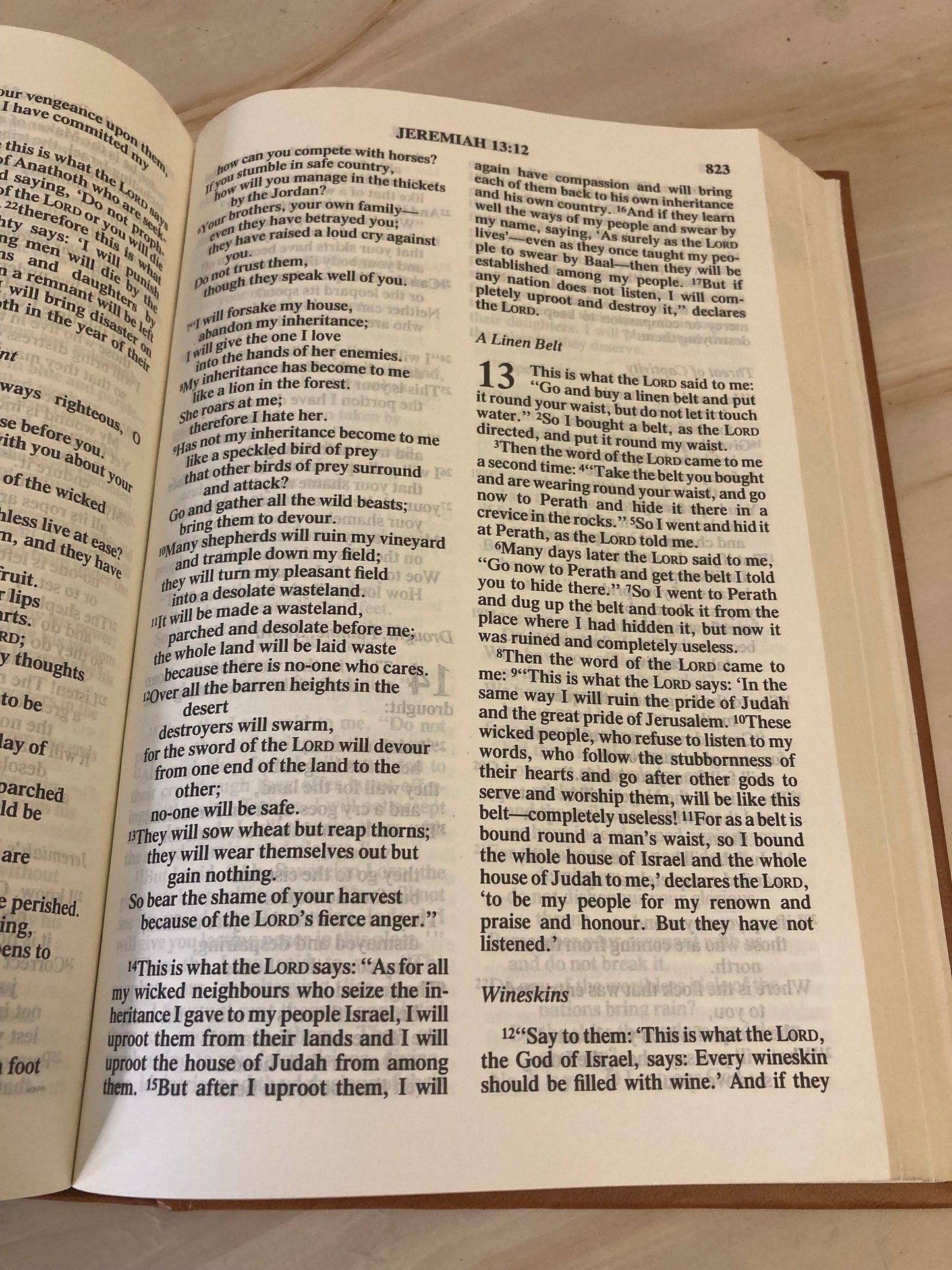 1994 NIV Holy Bible Brown Hardcover - Ref x314