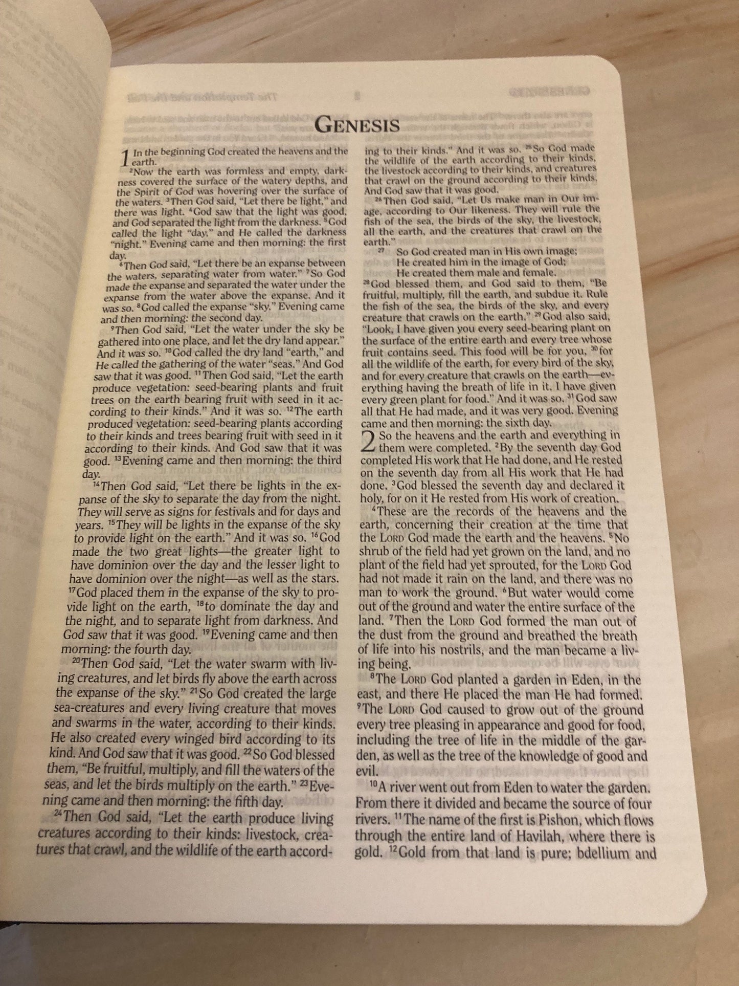 2009 The Holy Bible HCSB Jesus Red Letters - Ref x313