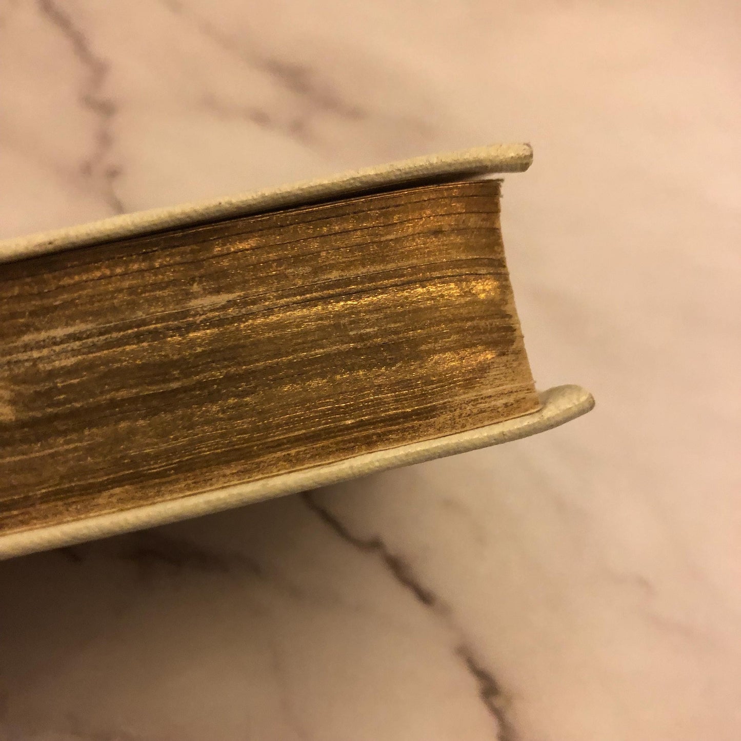 Illustration KJV Pocket Bible - (Ref x380)