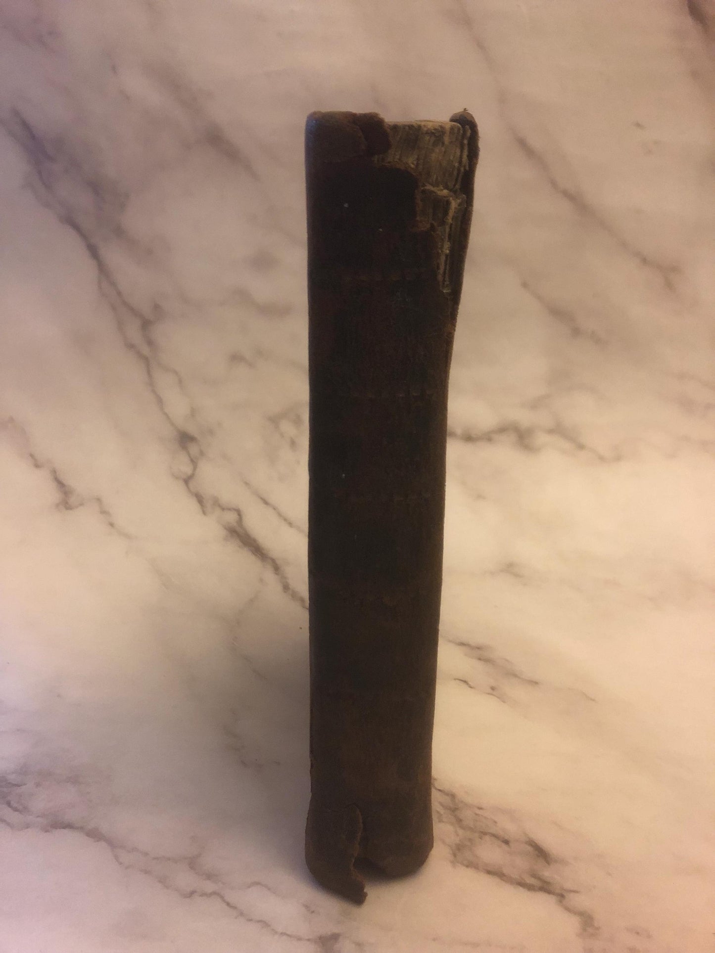 1713 The Pilgrim’s Progress from This World book John Bunyan - (Ref x462)