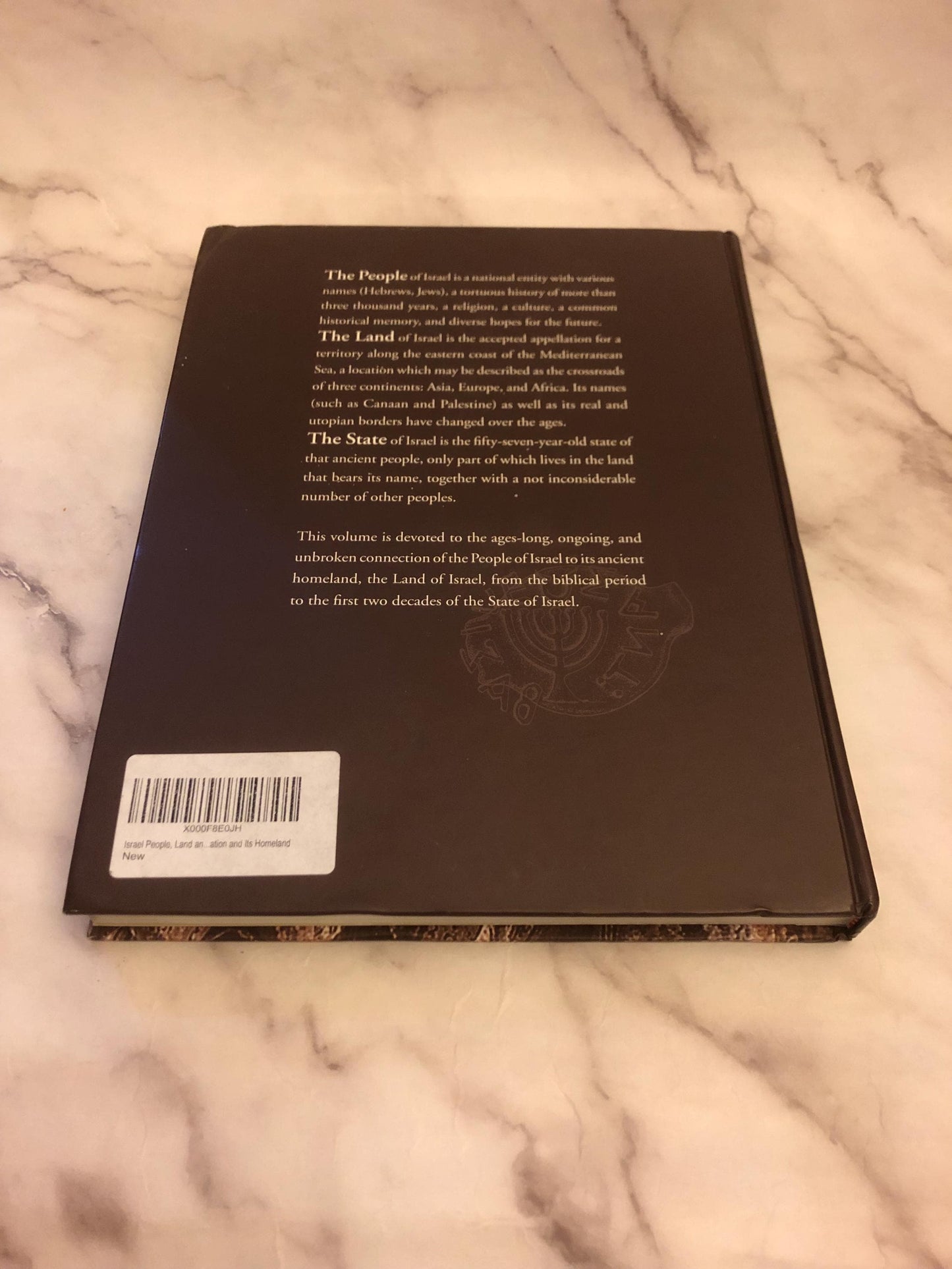 Israel - A Nation and It’s Homeland book by Avigdor 2005 (X461)