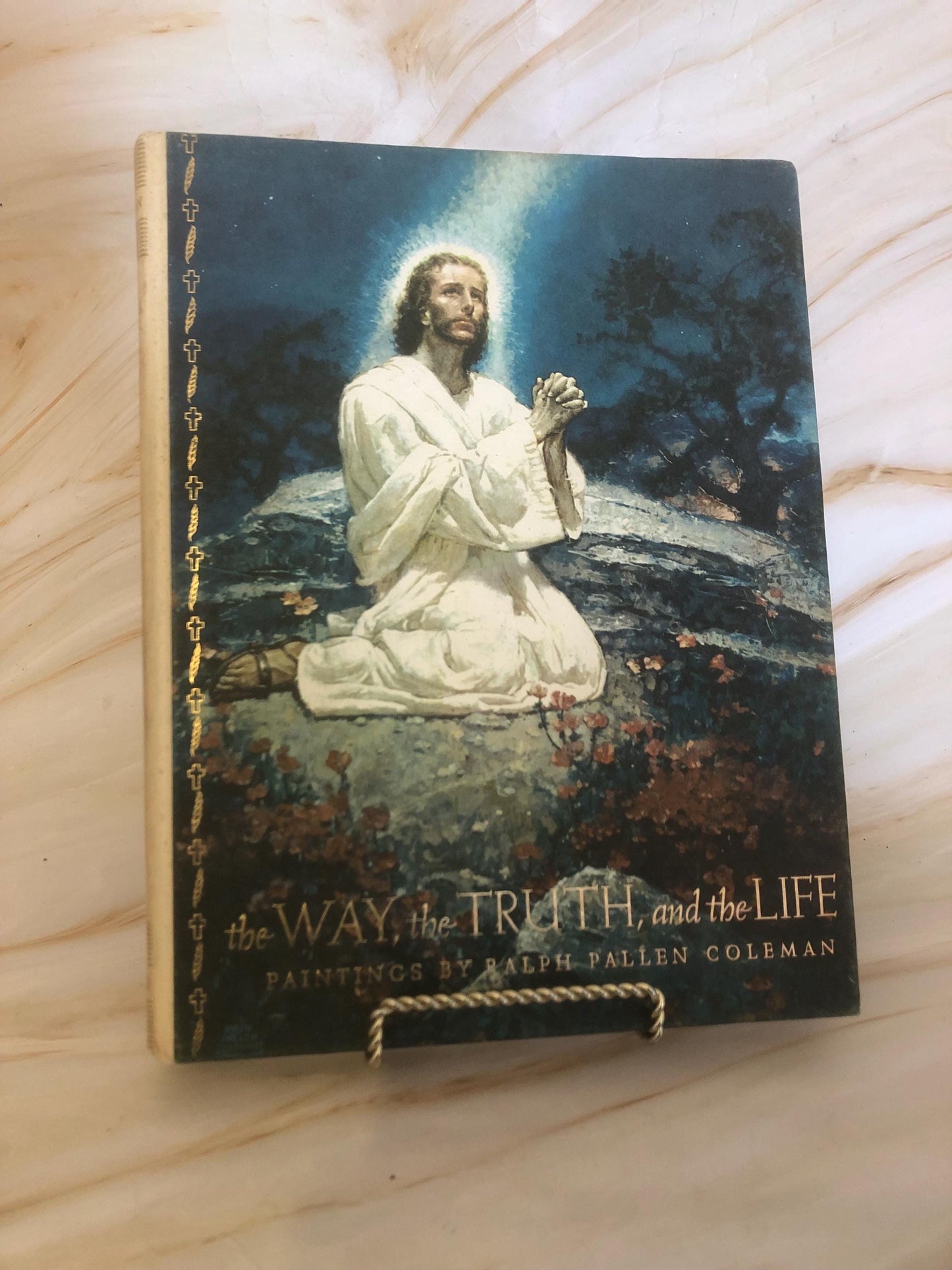 The Way the Truth and the Life book Illustrated Bible - (Ref x436)