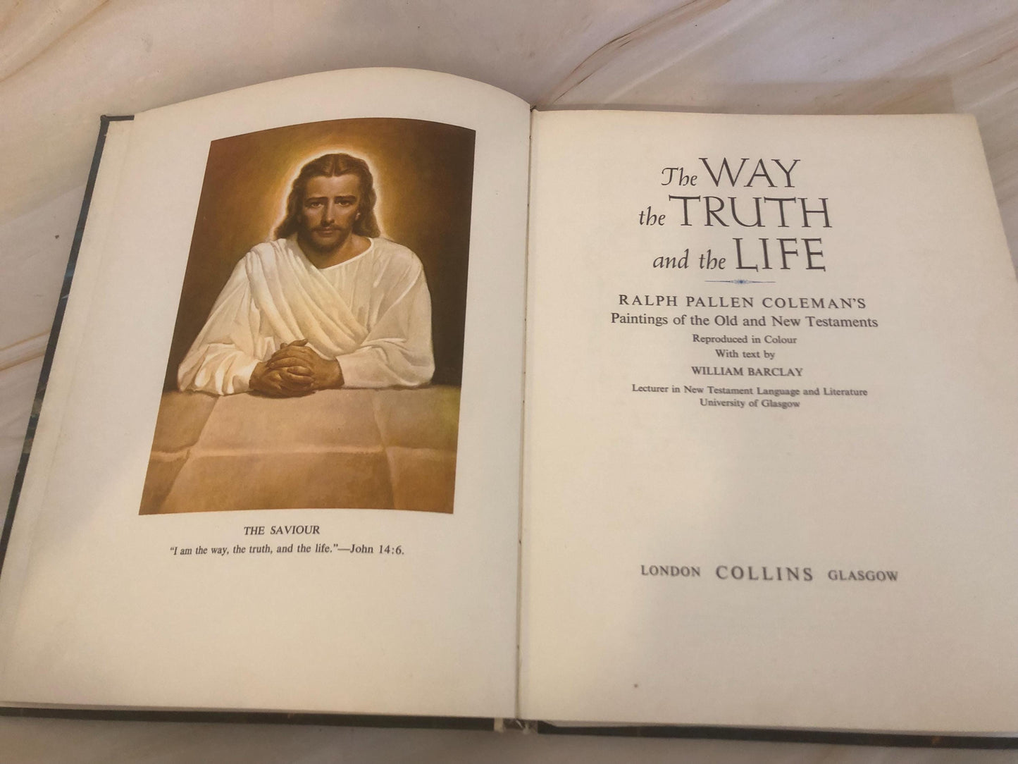 The Way the Truth and the Life book Illustrated Bible - (Ref x436)
