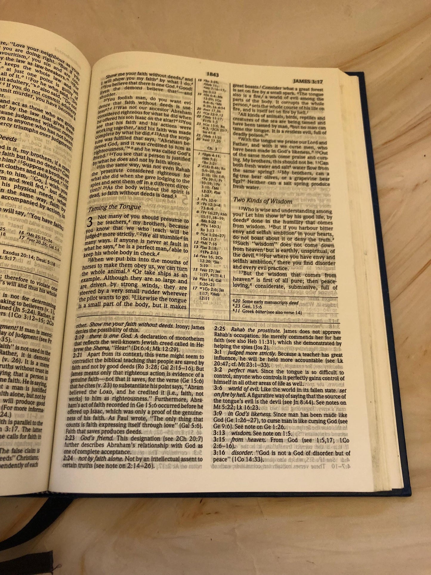 Large NIV Study Bible with Concordance - (Ref x404)