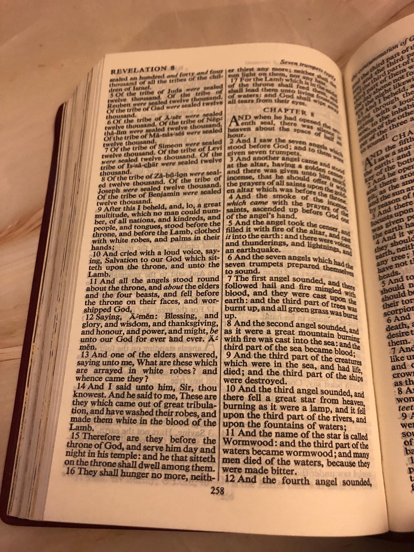 Vintage Red Illustration Bible - (Ref x392)