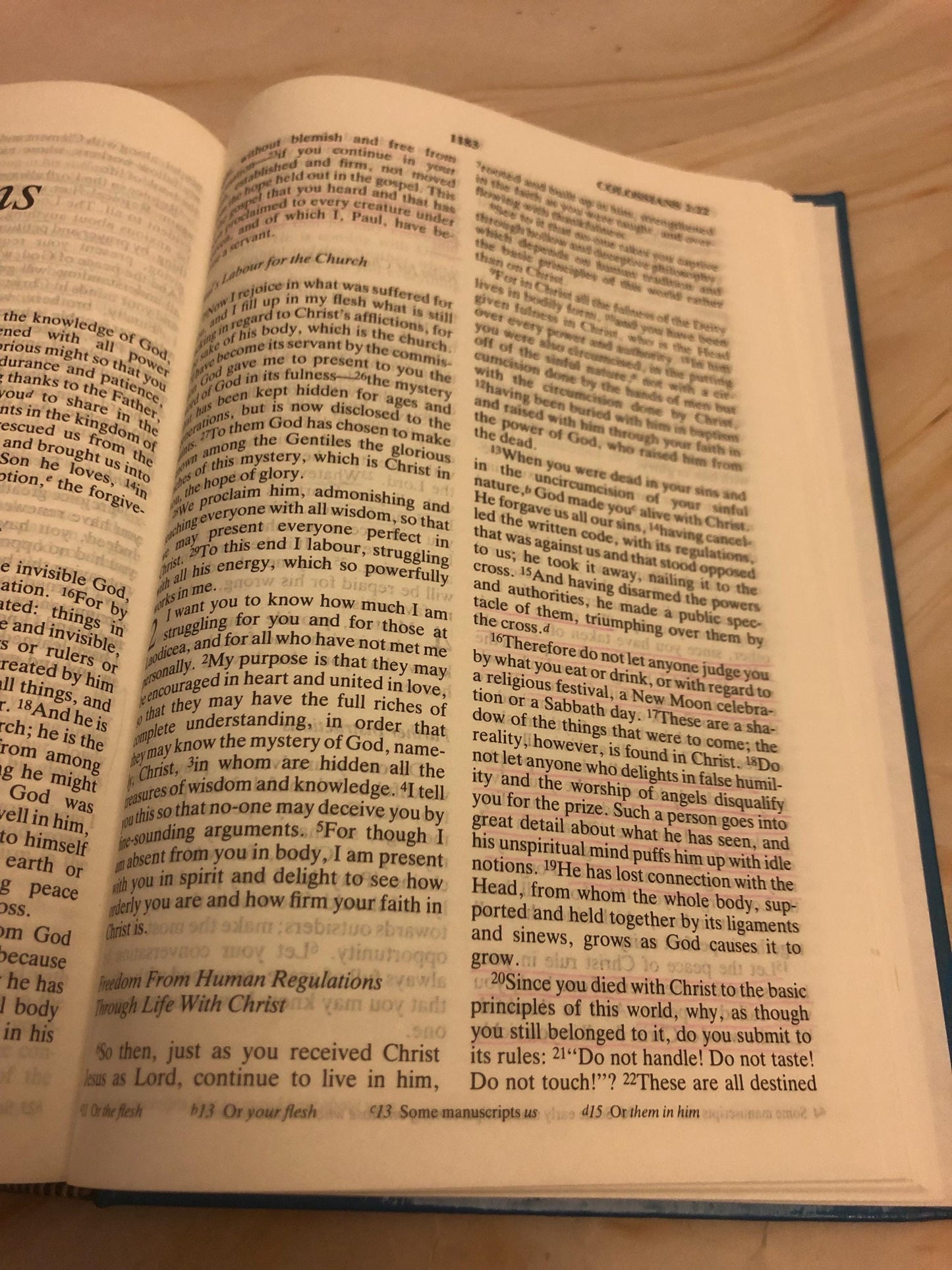 1992 NIV Holy Bible Vintage Christian Bible - (Ref x432)
