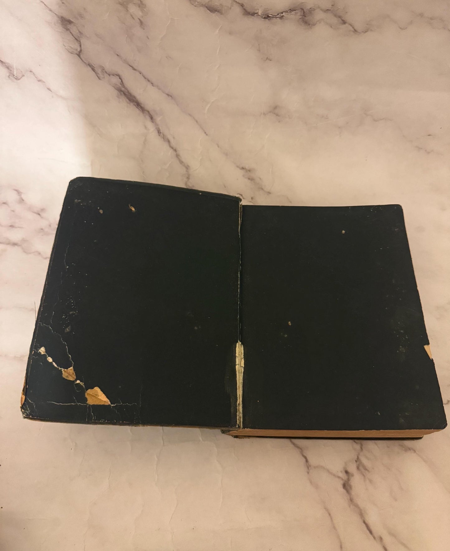 Antique Illustrated New Testament Bible – Late 1800s Christian Book - Ref x595
