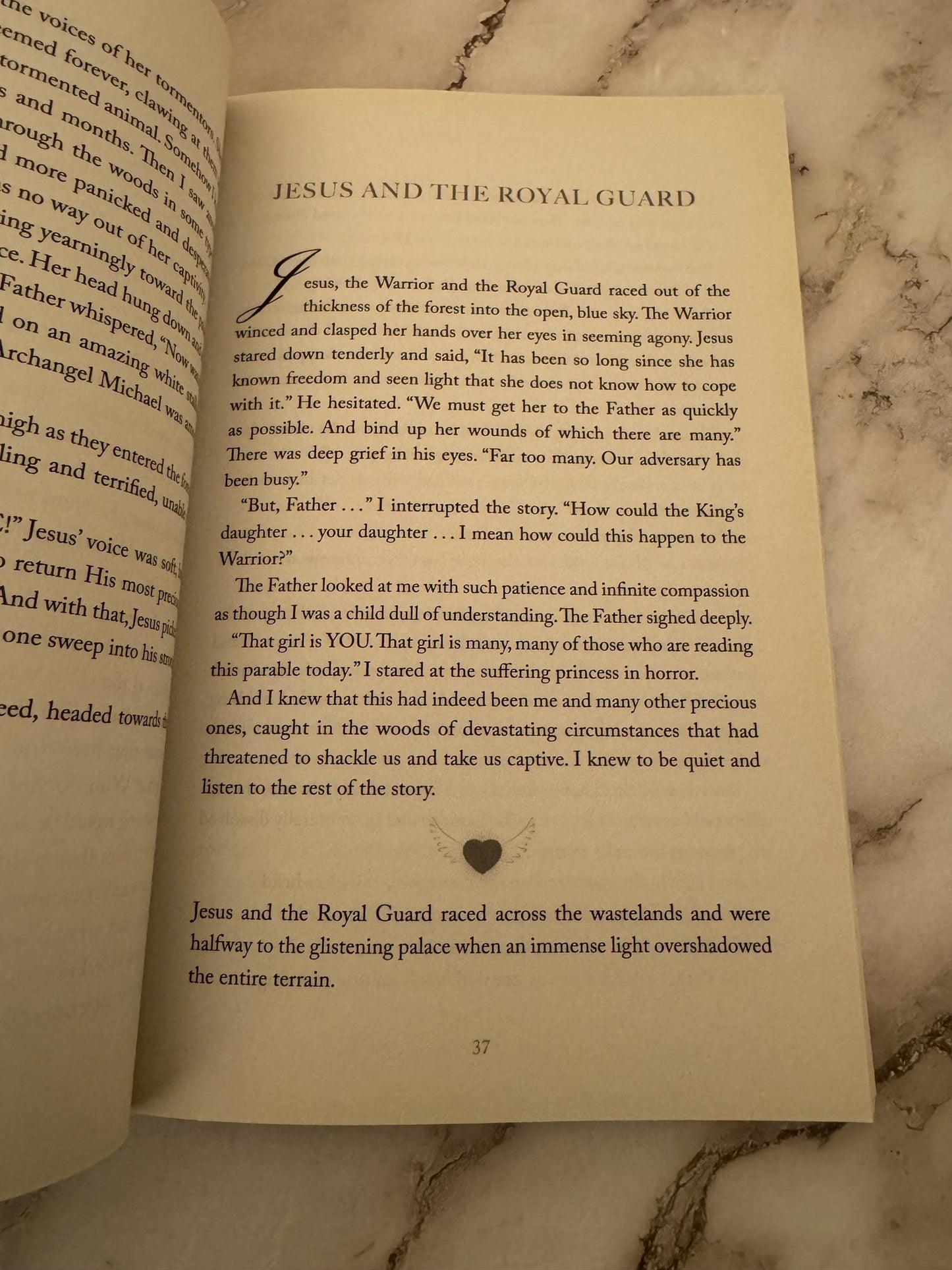 Vision from Heaven book by Wendy Alec - Ref x576