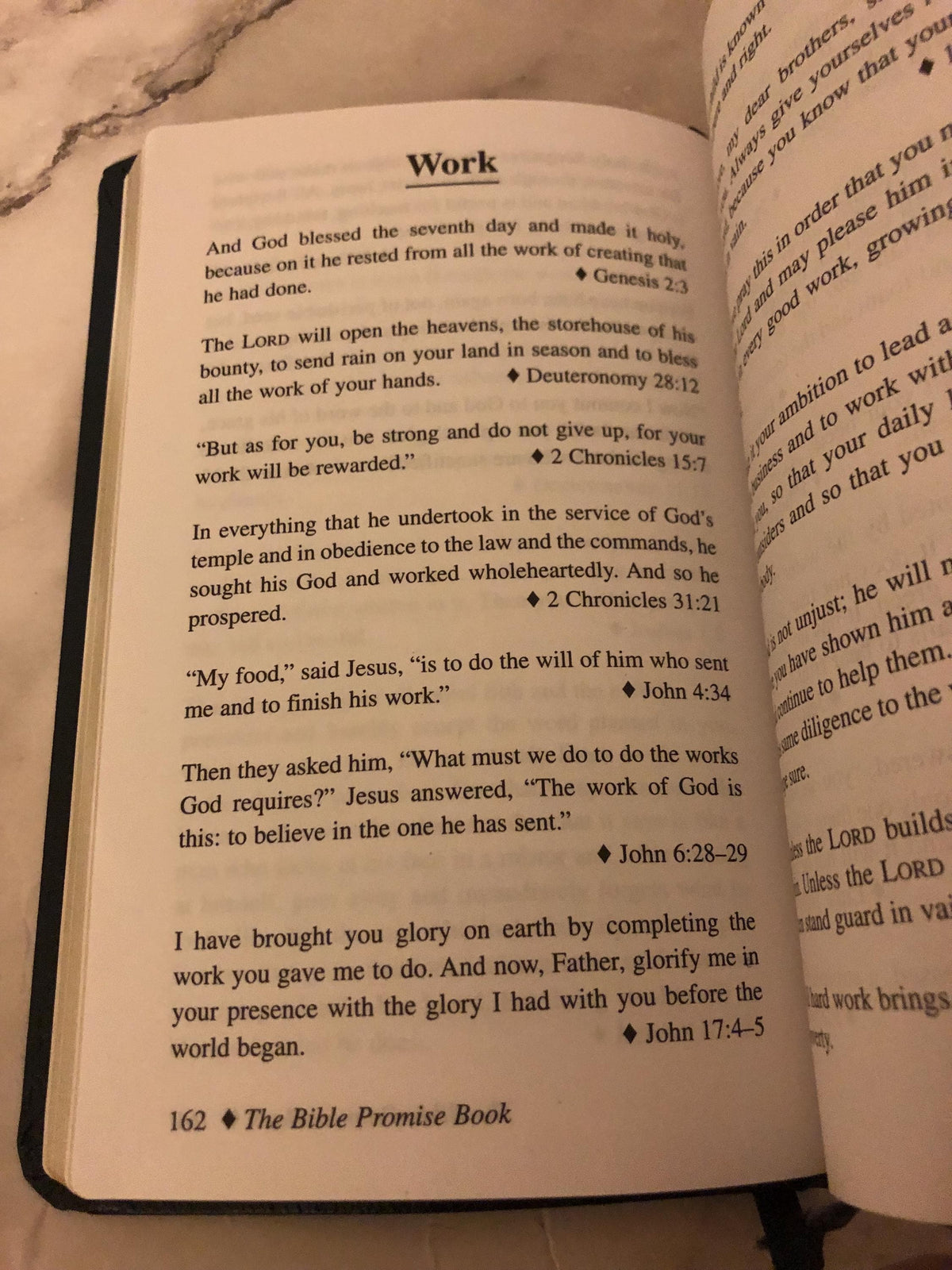 1983 Bible Promise Book NIV Christian Devotional Pocket Bible Gift Book - Ref x501