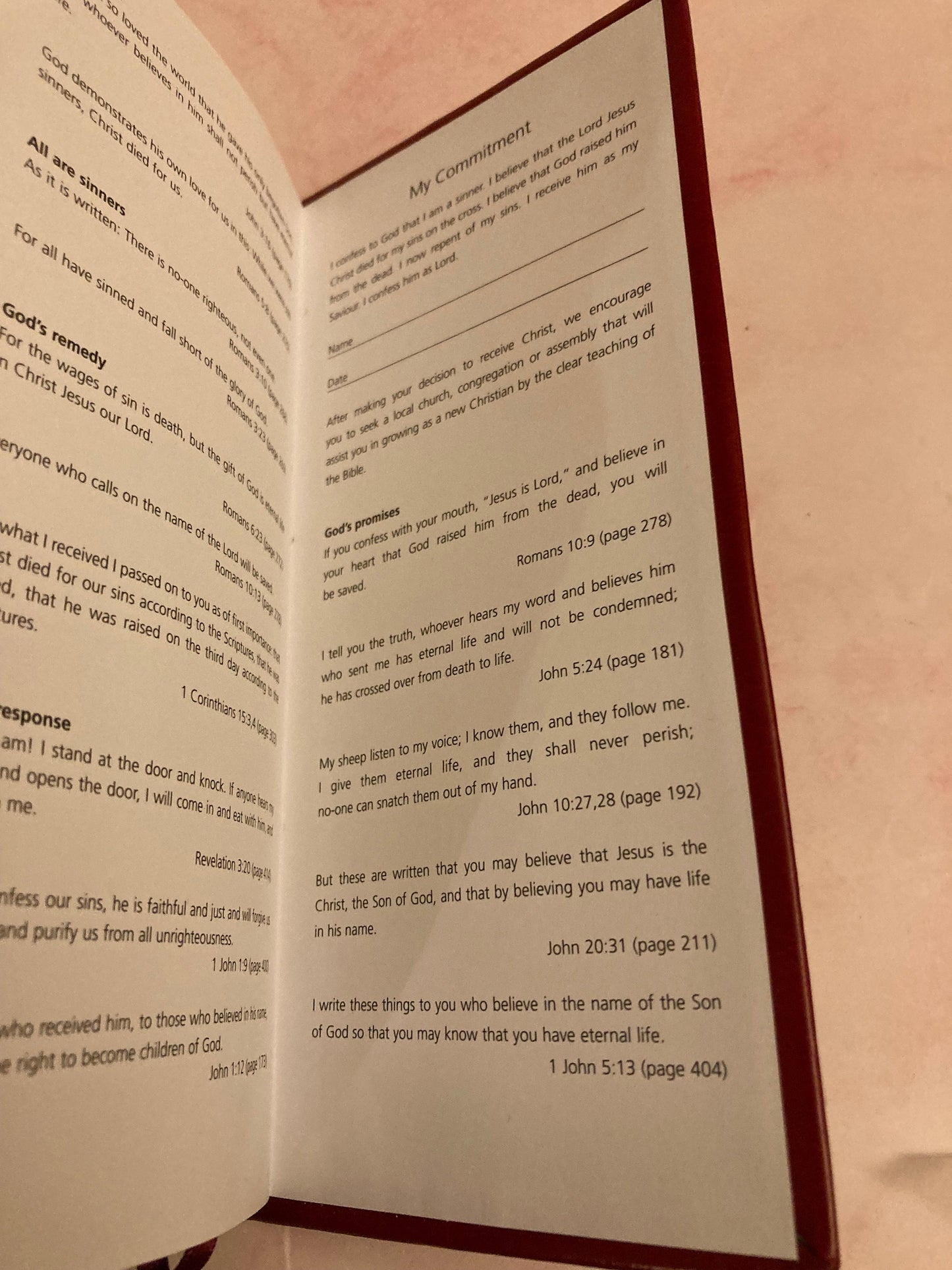 2019 New Testament & Psalms NIV Gideon Bible - Red Long Pocket Bible - (Ref x202)