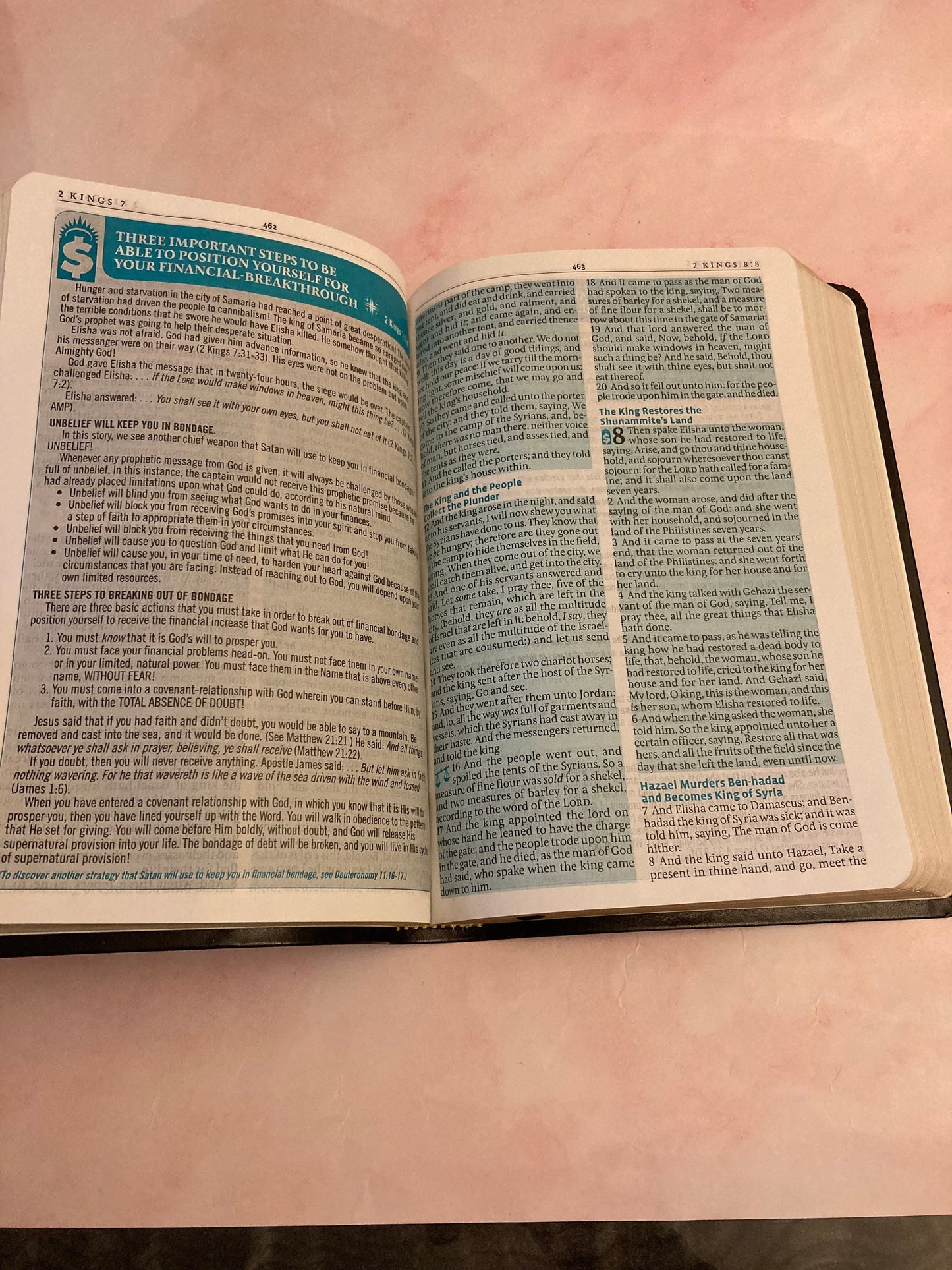 Financial freedom bible - king james version