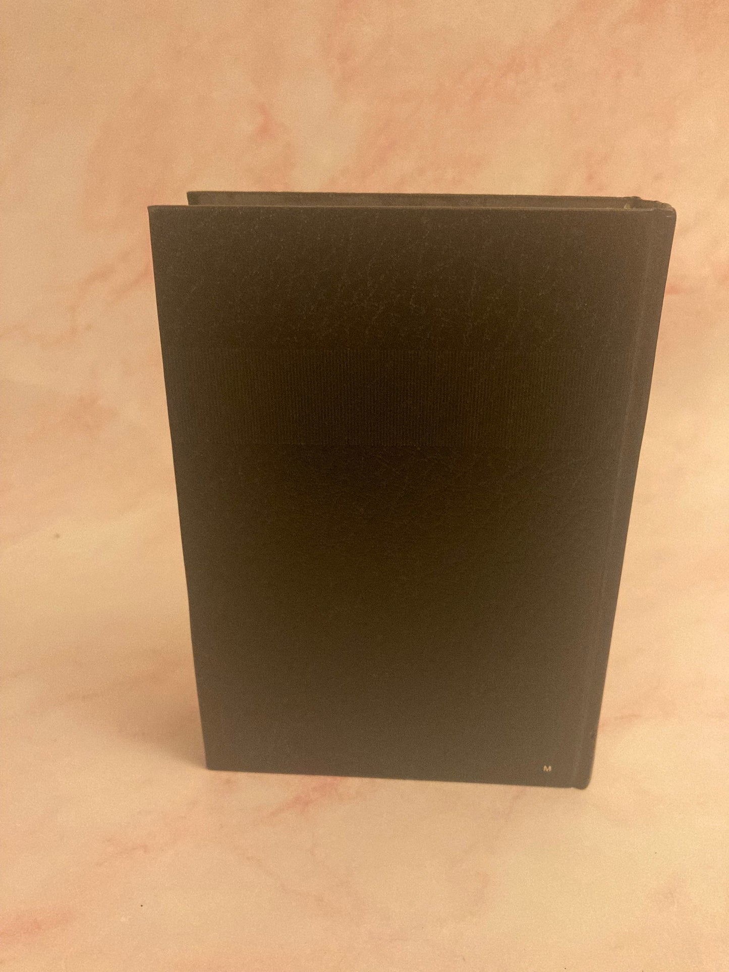 1986 NIV Holy Bible - (Ref x199)