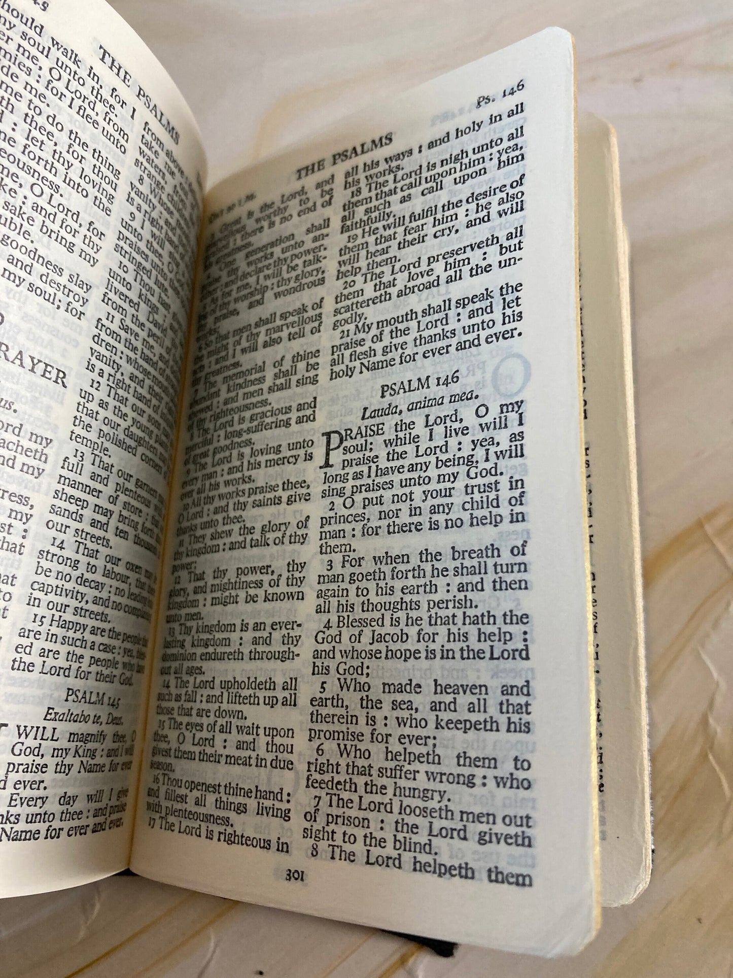 Small common prayer hymns a&m revised - (ref x173)