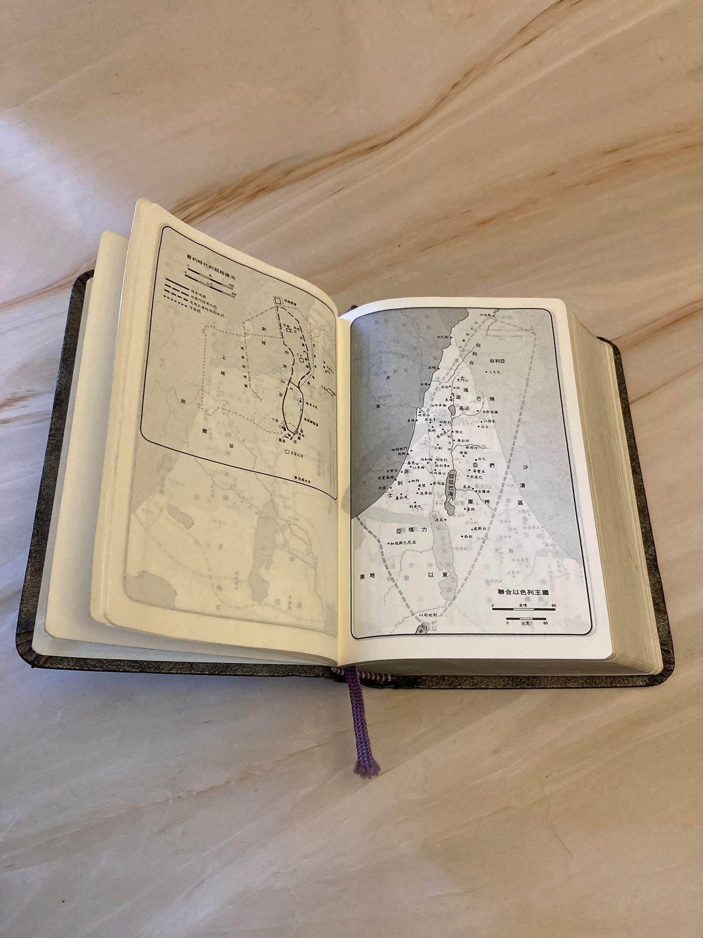 Chinese Holy Bible 1961 Pocket Size Bible - (Ref X125)