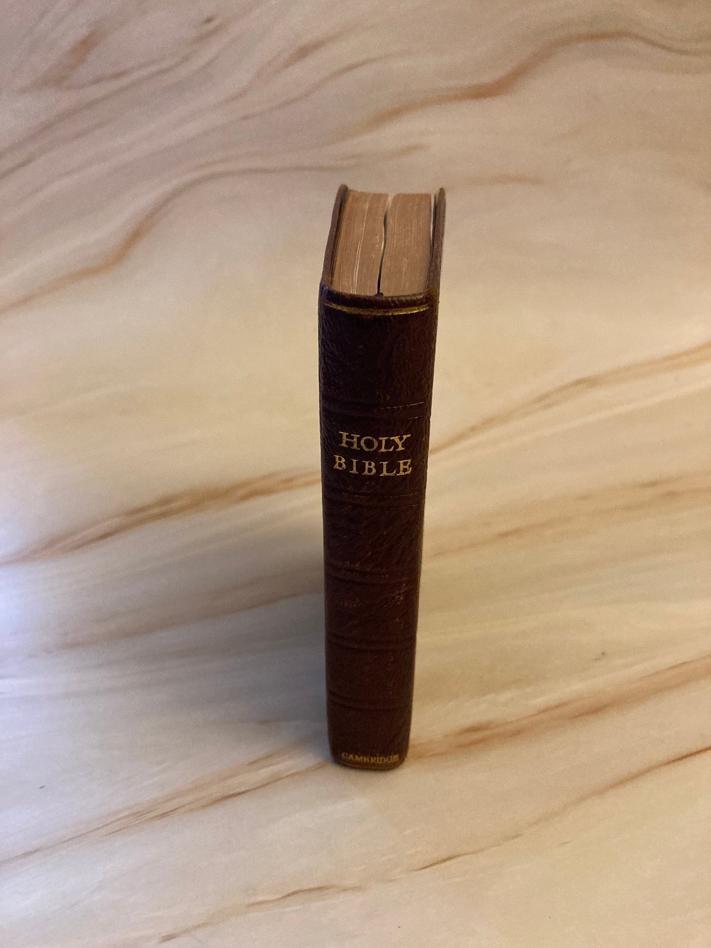 Pocket Brown Holy Bible Cambridge - (Ref X112)