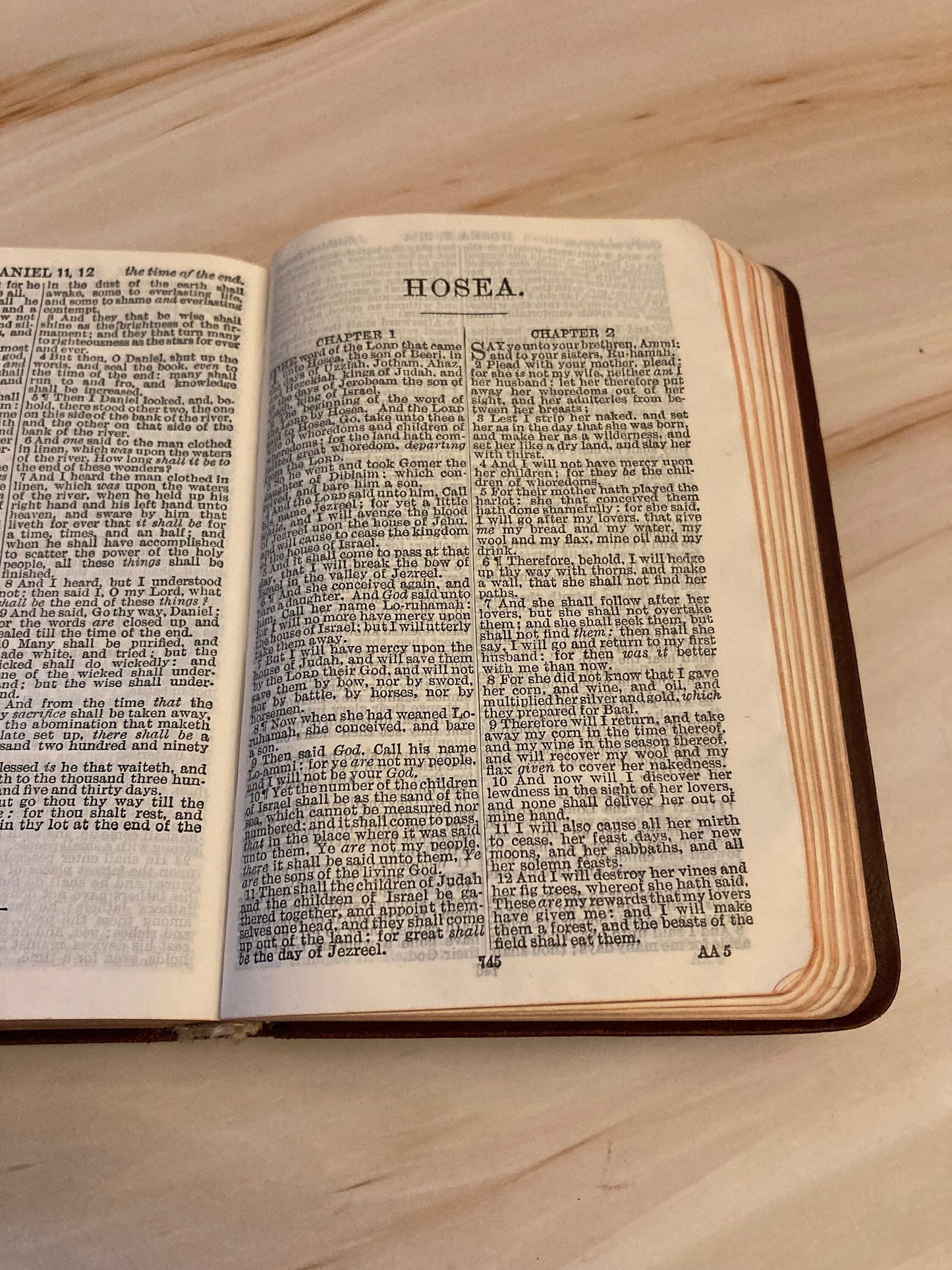 Pocket Brown Holy Bible Cambridge - (Ref X112)