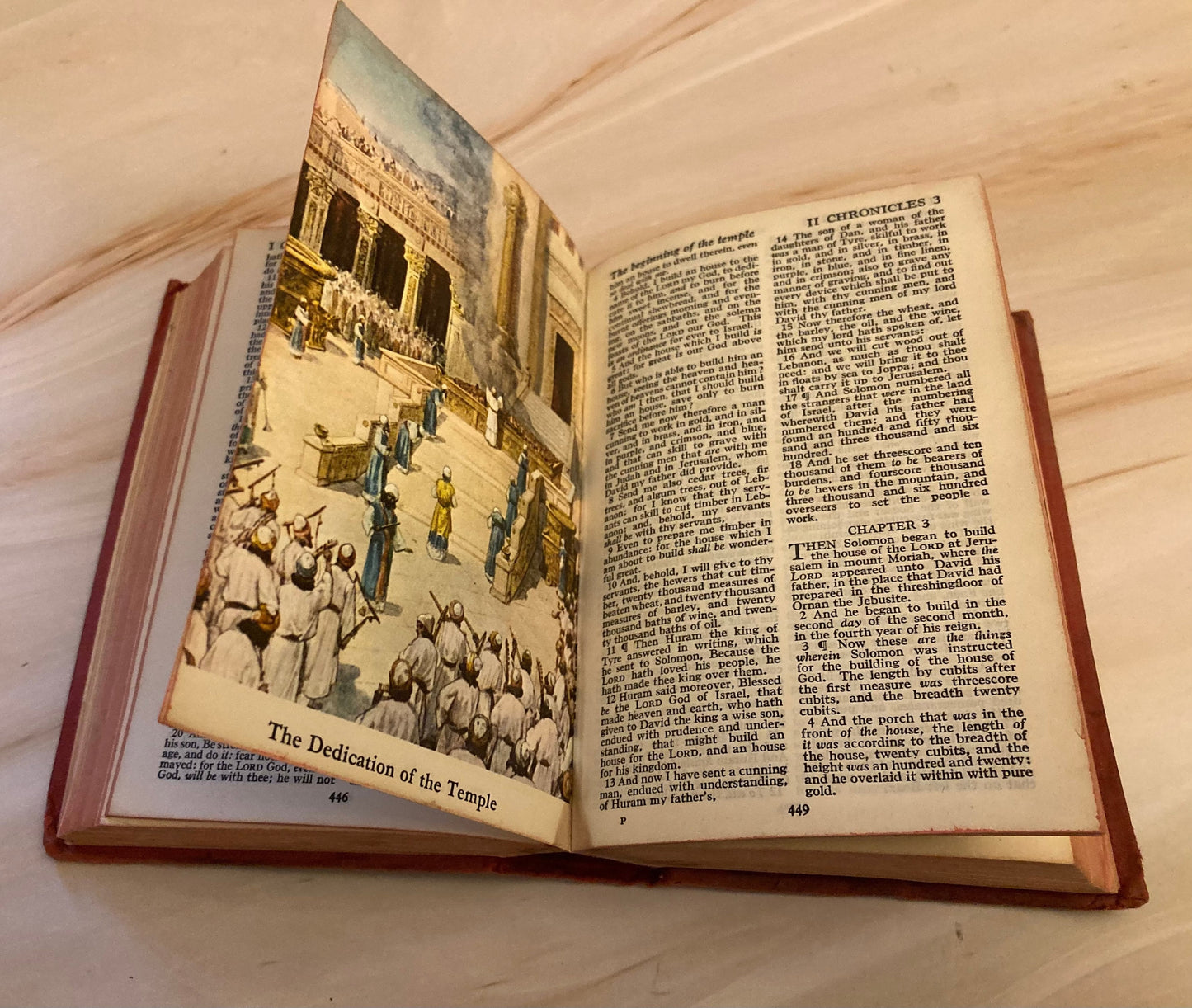 Vintage Hardcover Illustrated Holy Bible - (Ref X115)