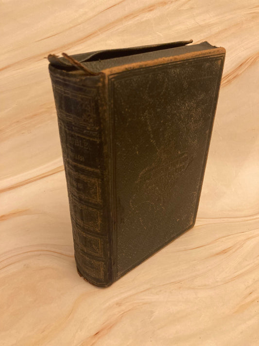 1877 Holy Bible Paragraph Prize - (Ref x282)