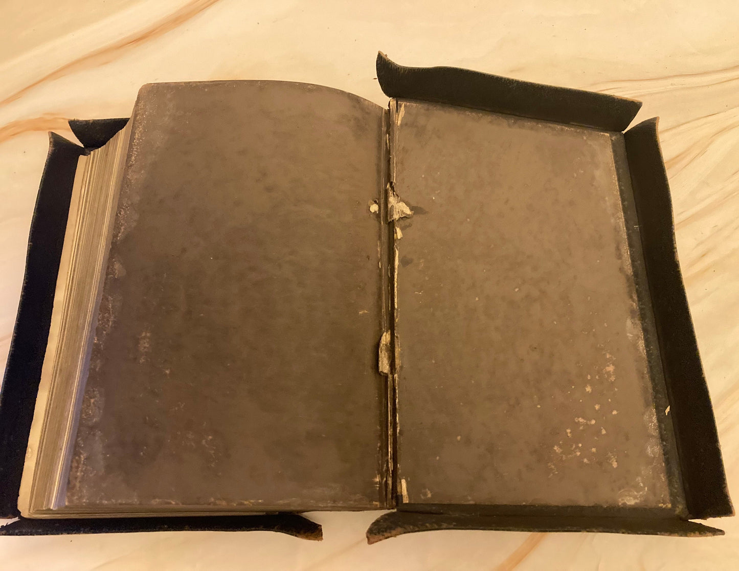 1877 Holy Bible Paragraph Prize - (Ref x282)