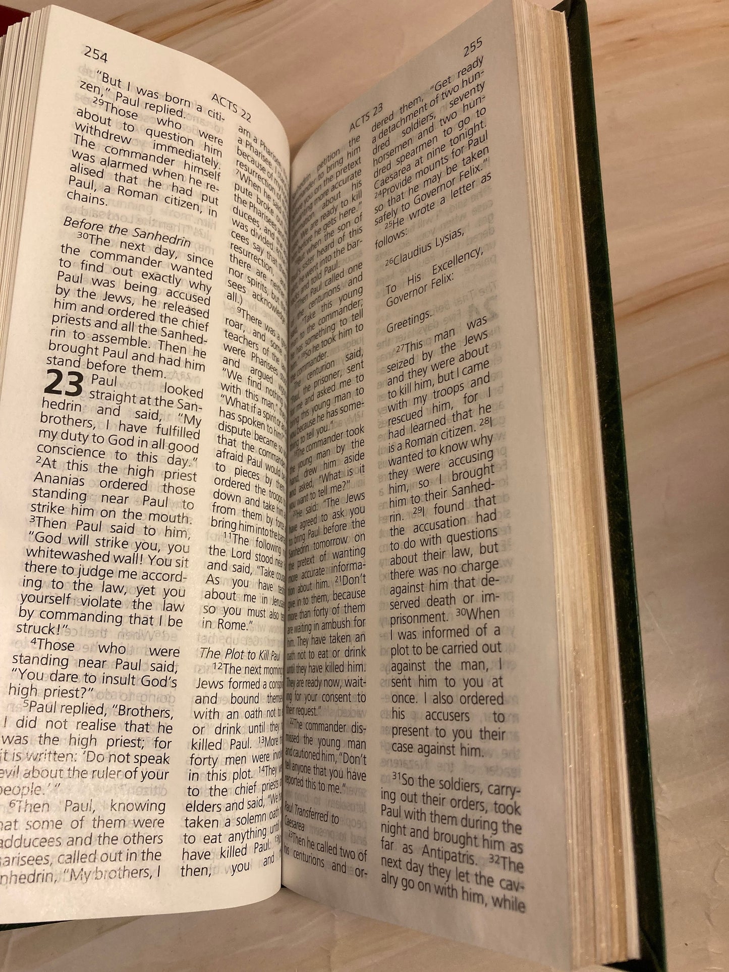 X2 Thin Red & Green Gideon NIV Leather Bibles with Psalm - (Ref x263)