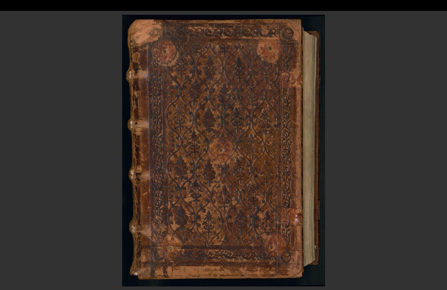 50 Antique Holy Bibles eBook Collection - Digital Vintage Bibles - (DOWNLOAD)