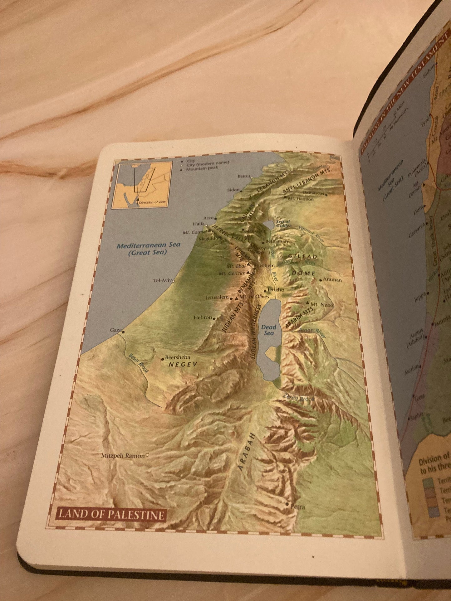 1996 NLV Red Letter Holy Bible - (Ref x241)