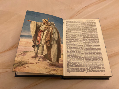 Small Vintage Blue King James Version Holy Bible Illustrated Hardcover - Ref x304