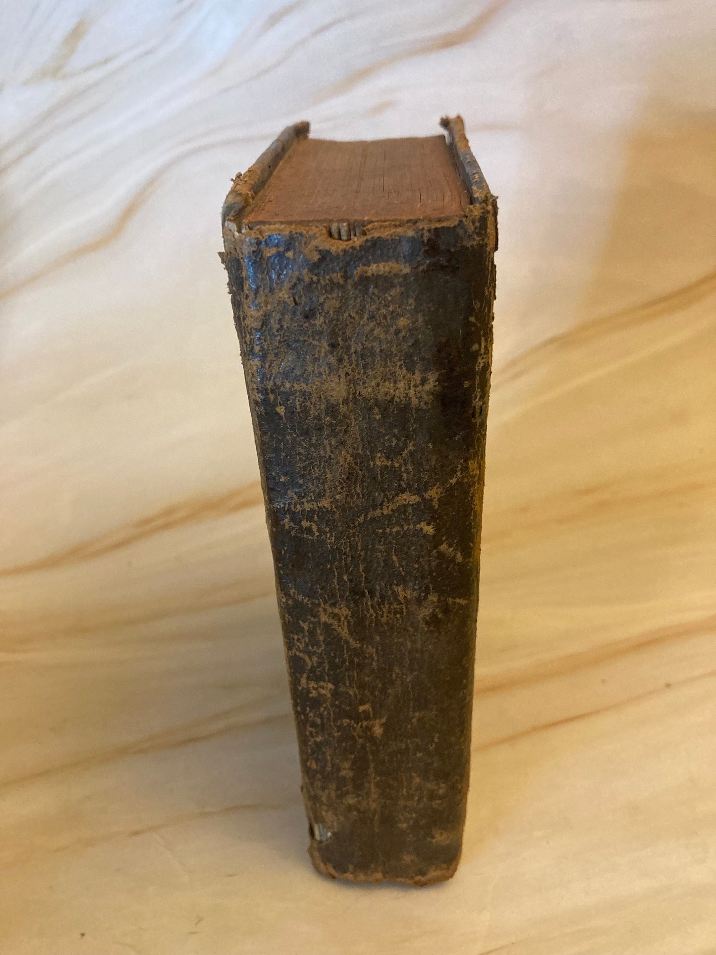 1800s Vintage Bible - Ref x296