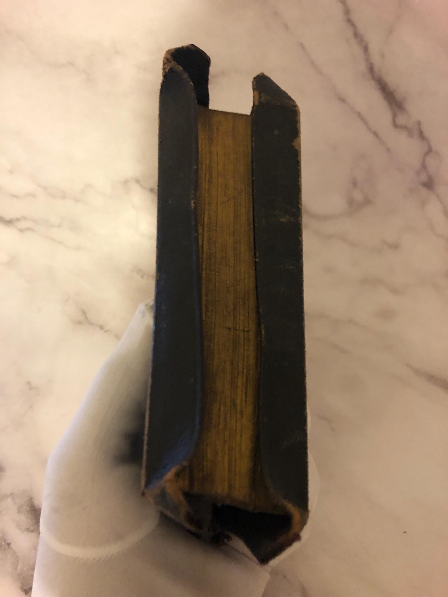 Holy Bible Rare - Ref x372