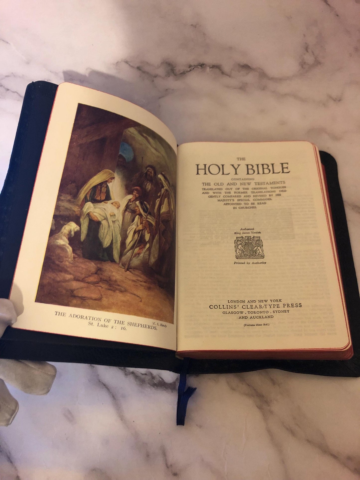 Illustrated Picture Holy Bible King James Version - Ref x373