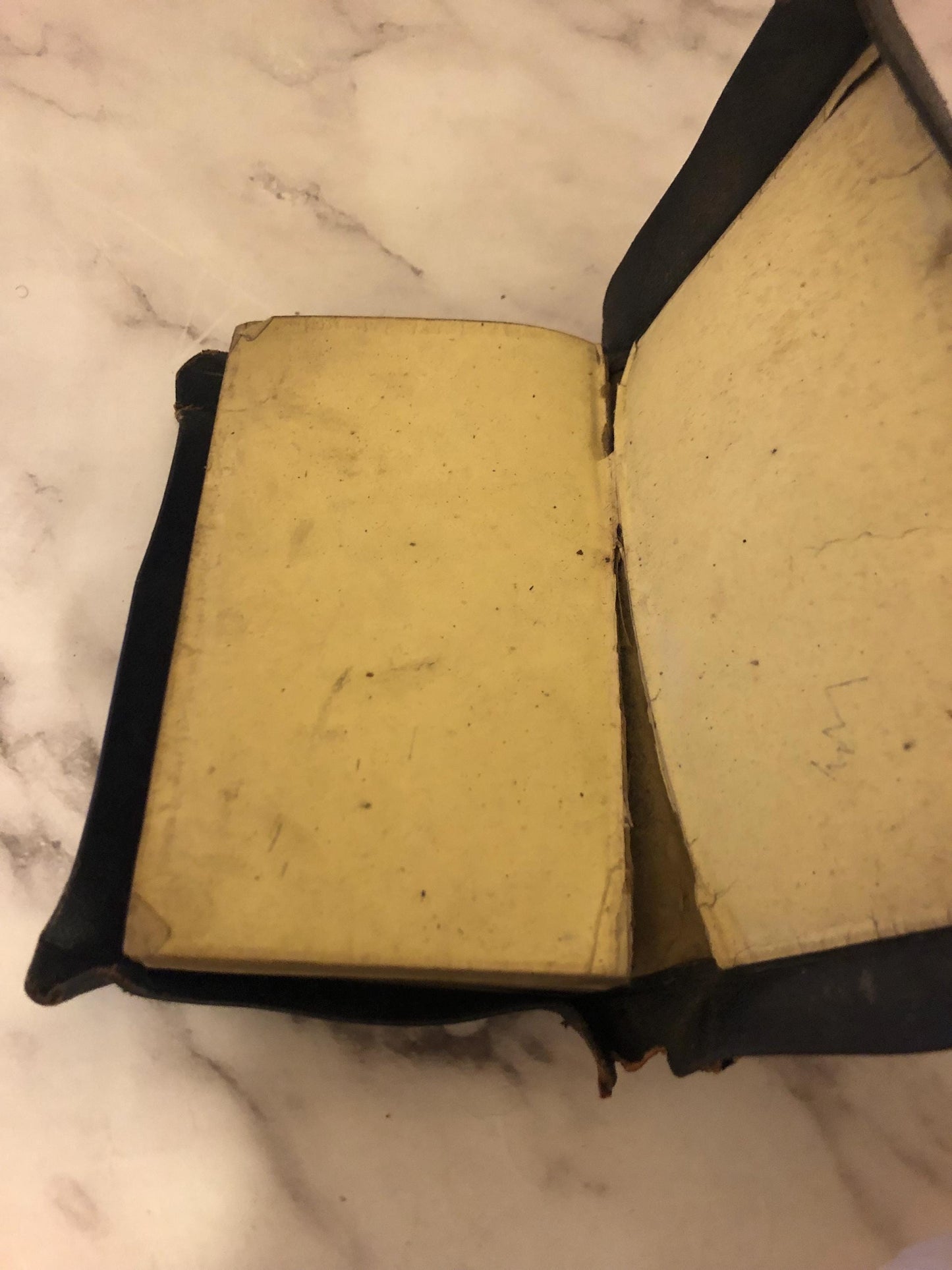 Holy Bible Rare - Ref x372