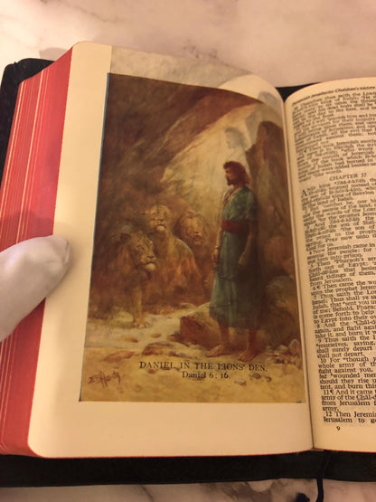 Illustrated Picture Holy Bible King James Version - Ref x373