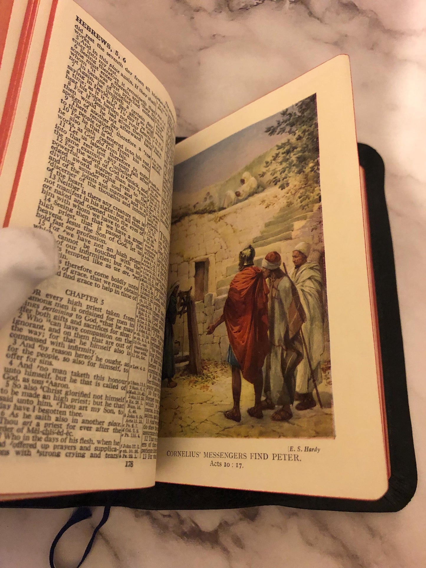 Illustrated Picture Holy Bible King James Version - Ref x373