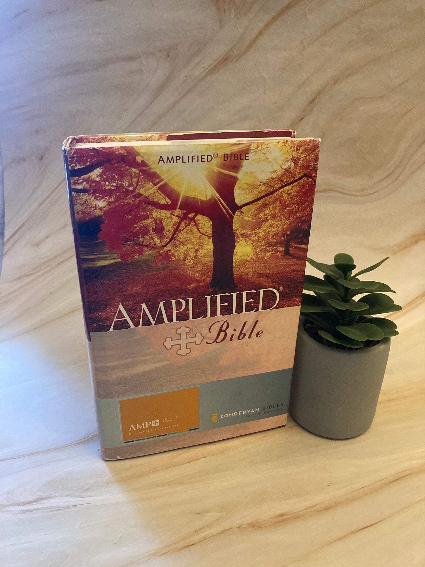 Amplifield Bible 1987 - Hardcover Zondervan Bible - Ref x368