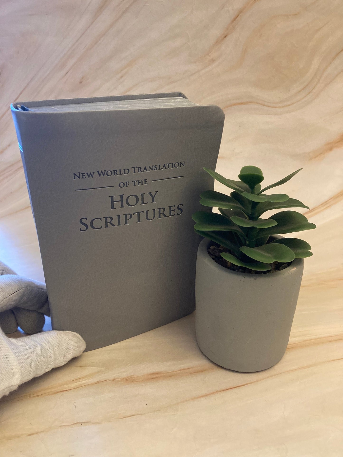 New World Translation of the Holy Scripture 2013 Watchtower Bible - (Ref x363)