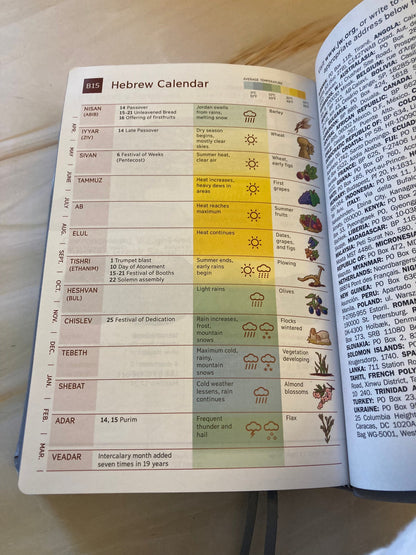 Watchtower Bible SEALED New World Translation of the Holy Scripture 2013 - (Ref x364)