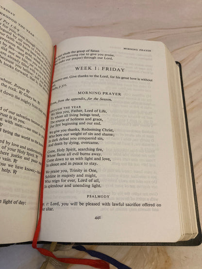 Morning and Evenning Prayer book 1982 - (Ref x332)