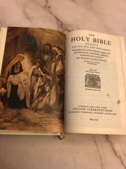 Illustration KJV Pocket Bible - (Ref x380)