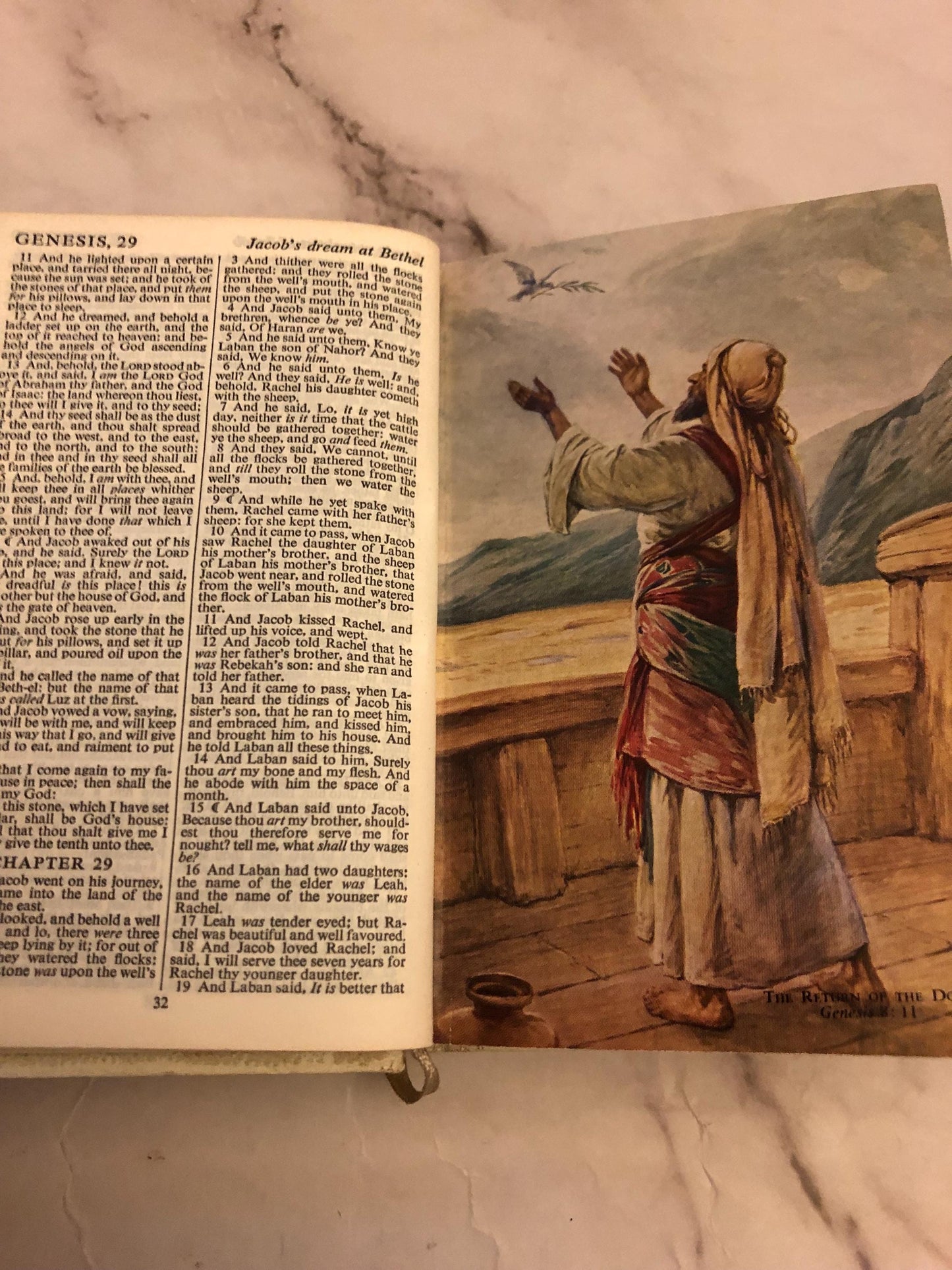 Illustration KJV Pocket Bible - (Ref x380)