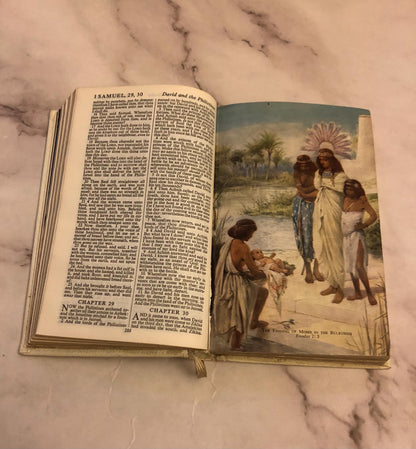 Illustration KJV Pocket Bible - (Ref x380)