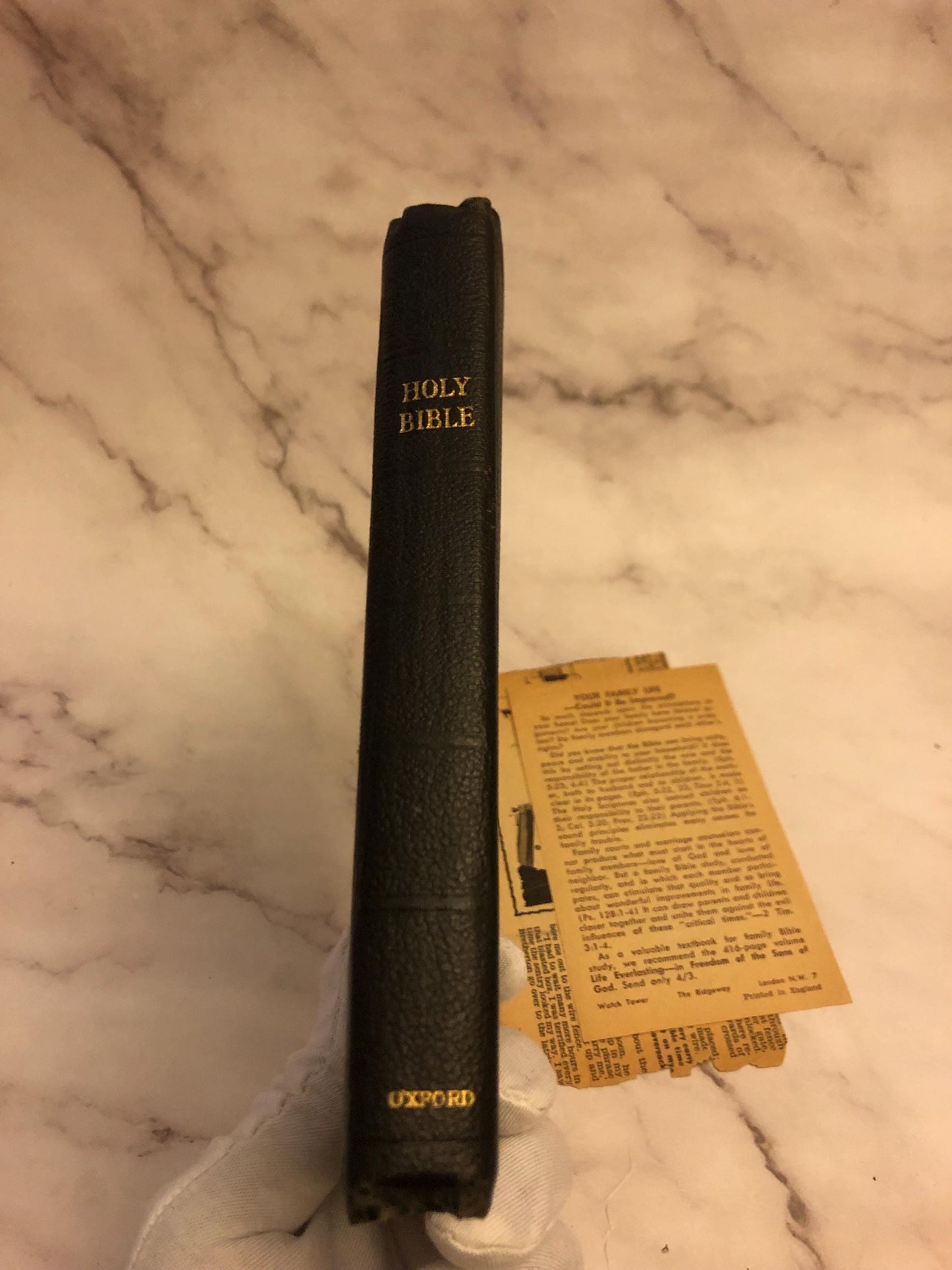 Holy Bible 1960 - (Ref x376)