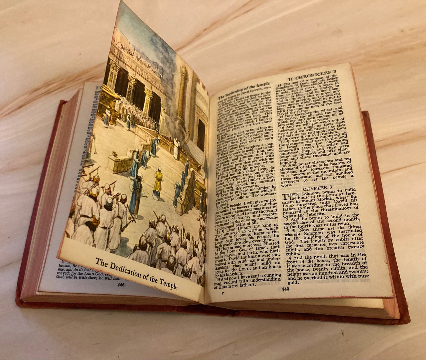 Vintage Illustrated Holy Bible – Hardback – Christian Gift Bible – Classic Edition - (Ref X115)