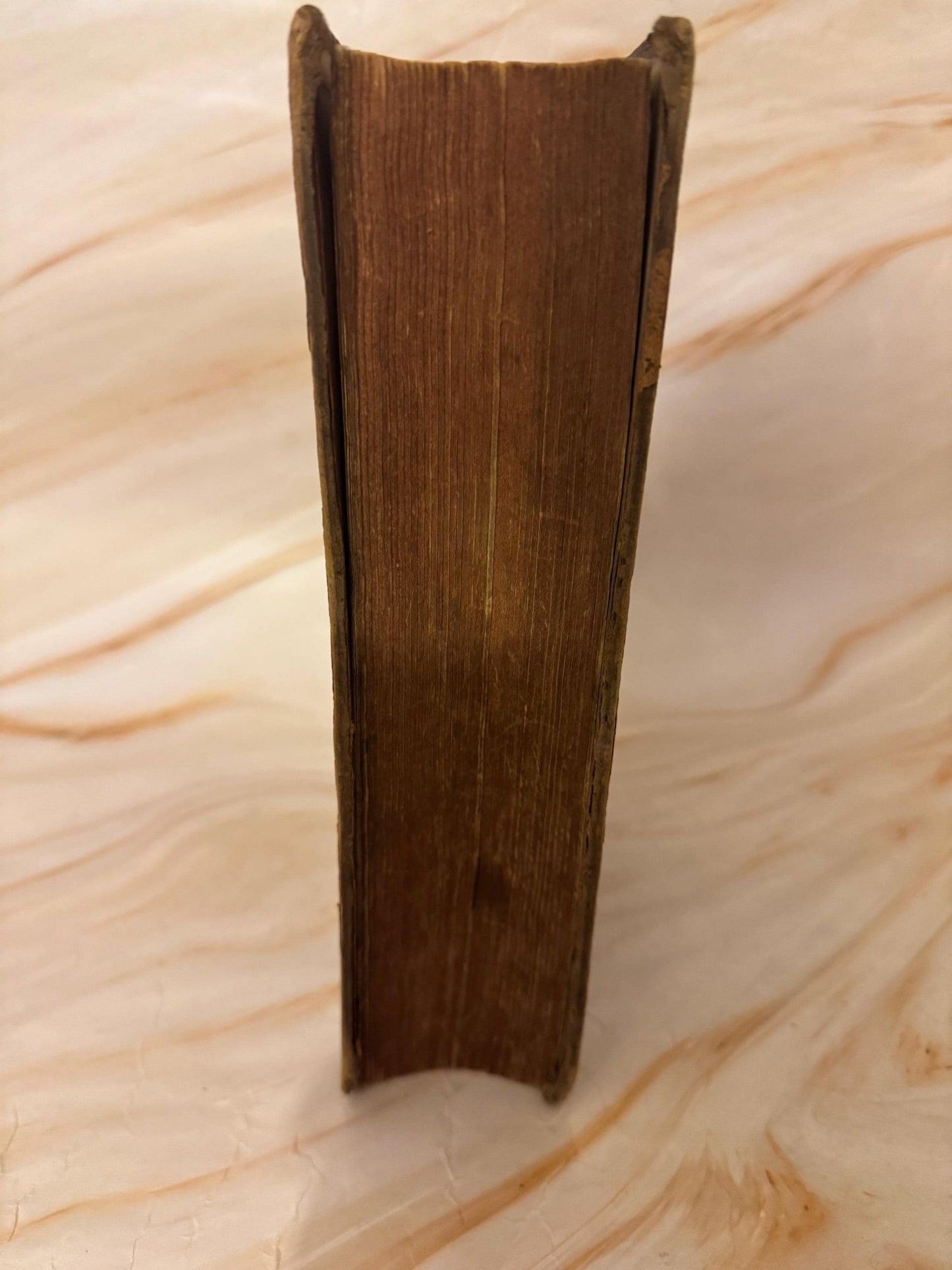 1885 Antique Holy Bible Oxford University Press British and Foreign Bible Society - Ref X700