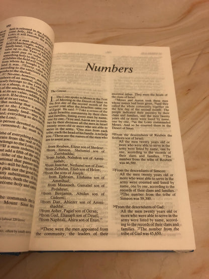 1992 NIV Holy Bible Vintage Christian Bible - (Ref x432)