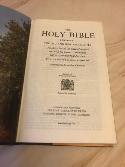 1982 Illustrated KJV Holy Bible – Vintage Christian Bible – Picture Bible - (Ref x425)
