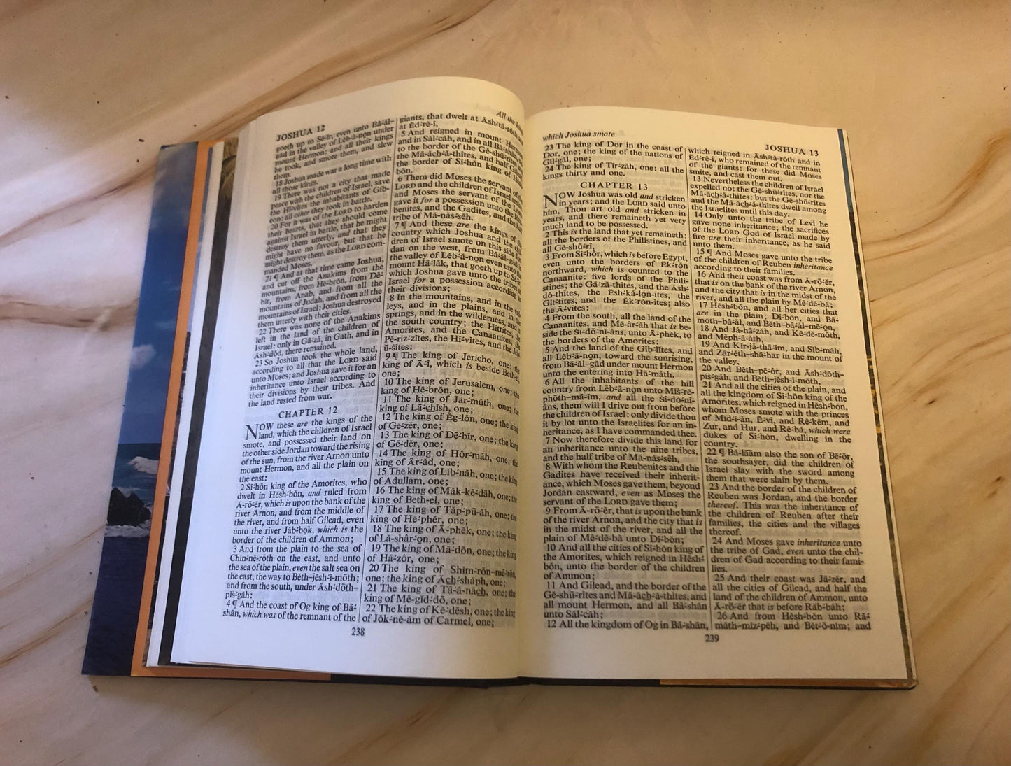 1982 Illustrated KJV Holy Bible – Vintage Christian Bible – Picture Bible - (Ref x425)