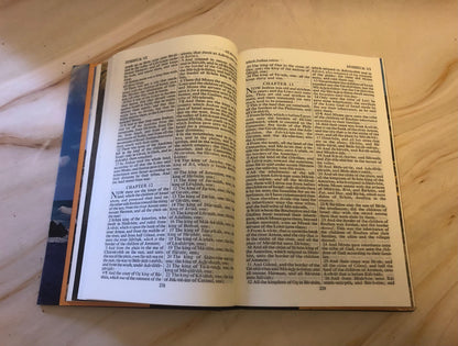 1982 Illustrated KJV Holy Bible – Vintage Christian Bible – Picture Bible - (Ref x425)