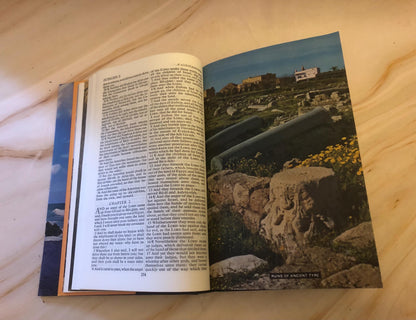 1982 Illustrated KJV Holy Bible – Vintage Christian Bible – Picture Bible - (Ref x425)