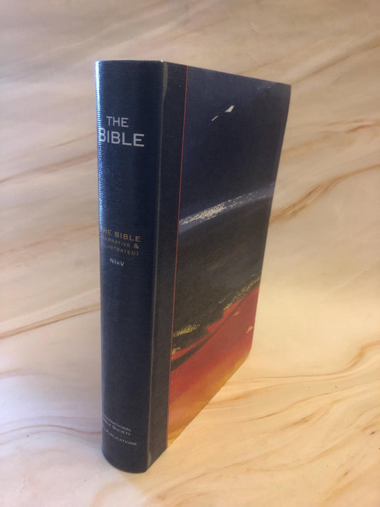 NIrV Illustrated Bible 2013 – Easy Read Christian Bible - (Ref x420)